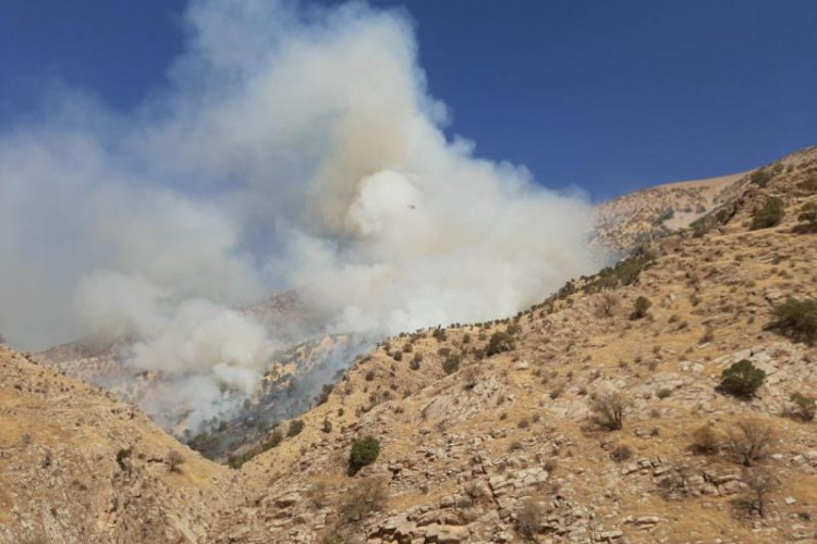 حدود ۱۰ هکتار از مراتع ارتفاعات شهرستان ثلاث باباجانی در آتش سوخت/حضور نیروهای مردمی بسیج و سپاه