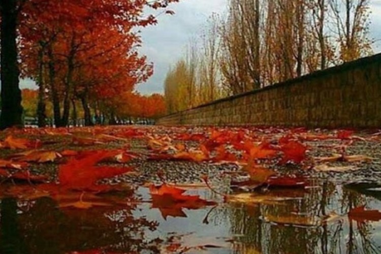 آماده‌باش در کرمانشاه برای بارندگی