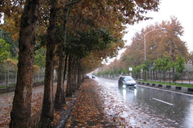 سرپل‌ذهاب با ۴۹ میلی‌متر، رکورددار بیشترین میزان بارندگی در کرمانشاه