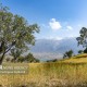 سپری برای صیانت از جنگل در برابر شعله‌ها؛ زاگرس با همدلی نفس می‌کشد