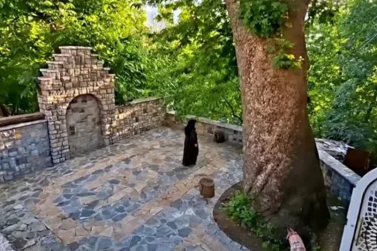 مسجد «گُله‌رنه» پاوه؛ عبادتگاهی روباز، زیر سایه چنار ۵۰۰ ساله