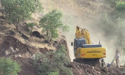 تخریب جنگل های بلوط در پنج کیلومتری شهرپاوه