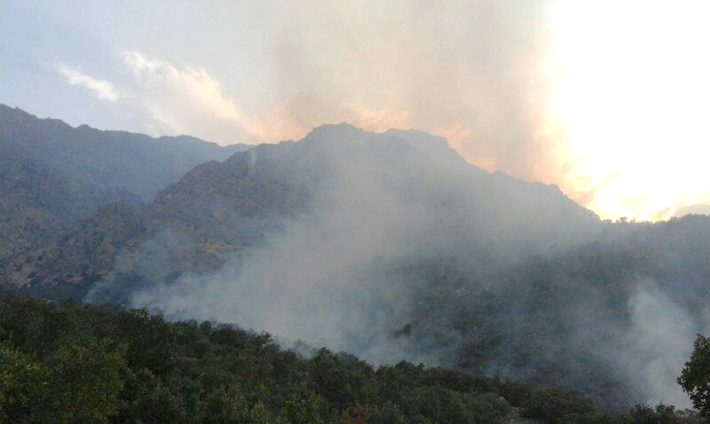  ادامه آتش سوزی ها در اورامانات / این بار جنگلهای بلوط روستاي رودبار طعمه حريق شدند