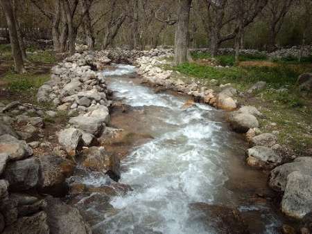 شارا حیات بخش شمشیر شد