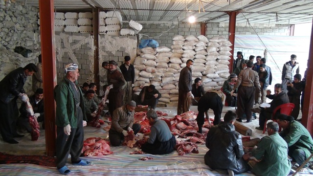 توزیع گوشت 100 رأس دام بین نیازمندان سروآباد+تصاویر توزیع گوشت 100 رأس دام بین نیازمندان سروآباد+تصاویر