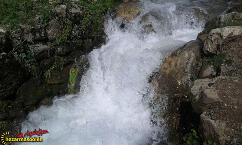 جوشش چشمه "سرکی" روستای دوریسان پس از 20 سال جوشش چشمه "سرکی" روستای دوریسان پس از 20 سال