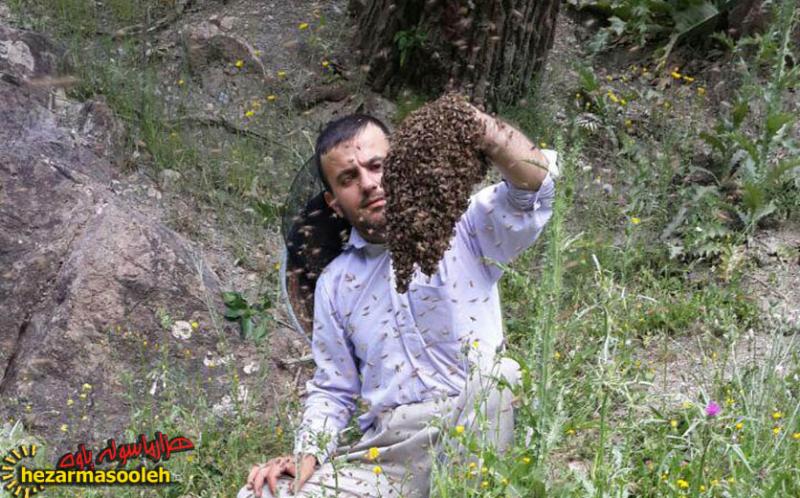 ملا ابراهیم انفرادی،روحانی فعال علاقمند در زمینه تولید عسل طبیعی