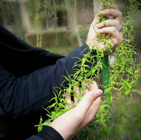” بالاتر از سیاهی رنگی نیست ” ” بالاتر از سیاهی رنگی نیست ”