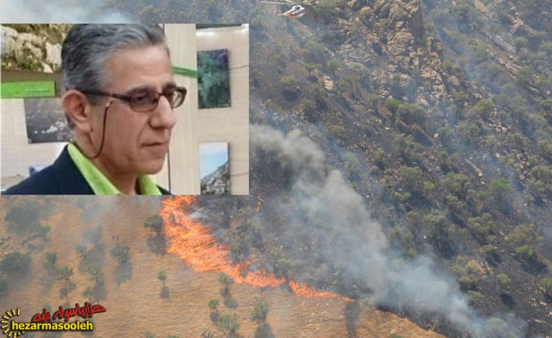 چرا آتش سوزی در کوهستان شکار ممنوع "ناناویژه" دیر کنترل شد؟