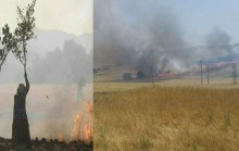 فصل گرما ،احتمال خطر آتش سوزی در جنگلها و مراتع منطقه