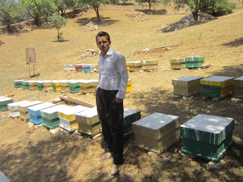 گامی درتحقق اقتصاد مقاومتی با پرورش زنبور عسل در پاوه