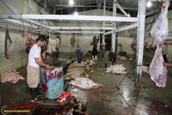 کشتارگاه صنعتی برای شهرستان های اورامانات راه اندازی خواهد شد