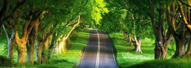 توجه به همسر، ضمانت خوشبختی