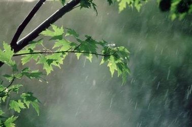بارش پراکنده باران کرمانشاه را در بر می گیرد