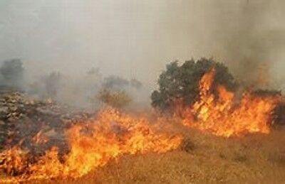 وقوع آتش سوزی در مراتع شهرستان پاوه