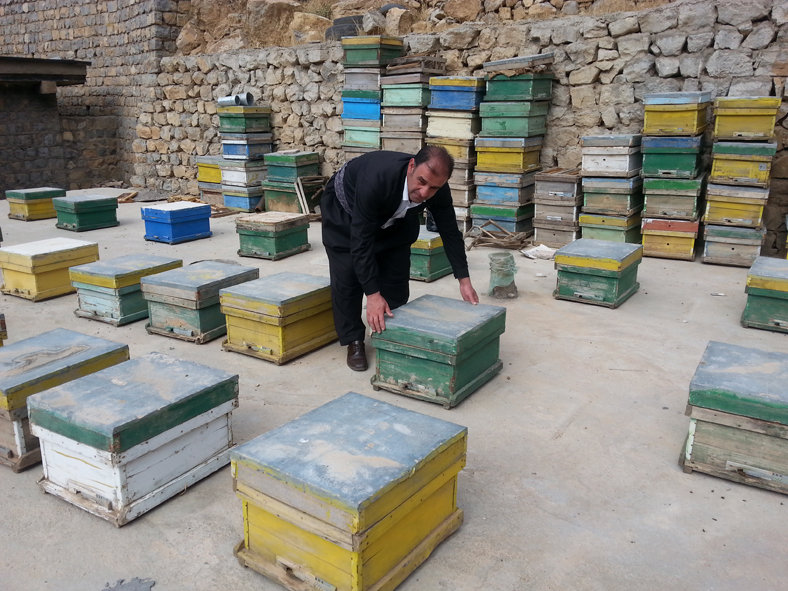 فردی که با پرورش زنبور عسل اقتصاد مقاومتی را در پاوه معنا کرد فردی که با پرورش زنبور عسل اقتصاد مقاومتی را در پاوه معنا کرد