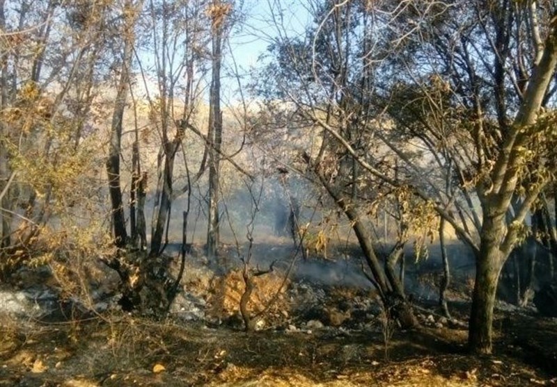  45 هکتار از مراتع و مناطق حفاظت شده پاوه در آتش سوخت/مهار این آتش‌سوزی در روستای «بیدرواس» 