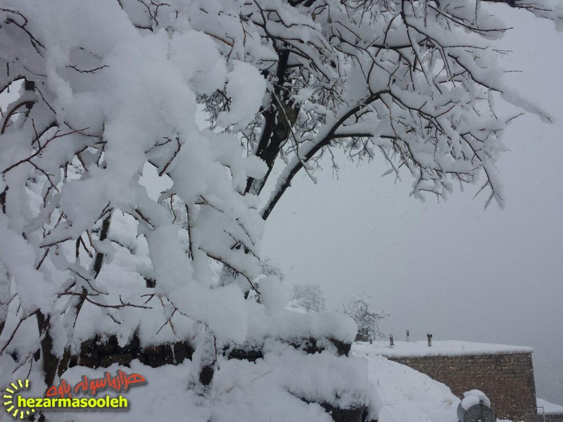 گزارش تصویری از بارش سنگین برف در پاوه گزارش تصویری از بارش سنگین برف در پاوه