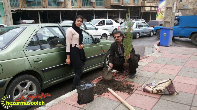 وقتی که شهرداری درختان را قطع می کند/خشکیده شدن درختان بدلیل بی توجهی شهرداری/شهروندان مسئولیت پذیر و حفظ محیط زیست