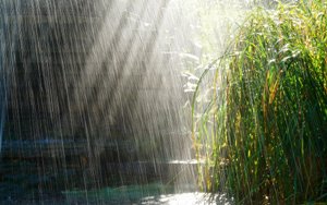 بیشترین میزان بارش ها در سال زراعي جاري در شهرستان پاوه ثبت شد