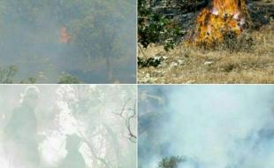 فصل سوختن زاگرس شروع شد/ مدیریت بحران از آمادگی خود گزارش بدهد