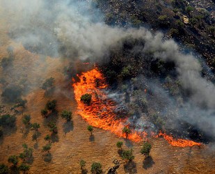 آتش سوزی در مراتع و جنگلهای شهرستان پاوه/ حریق مهار شد