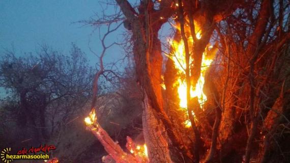 جنگل‌ها و مراتع شهر نوسود طعمه حریق شد