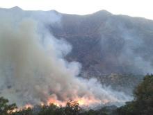 بیش از 35 هکتار از مراتع بخش باینگان پاوه درآتش سوخت