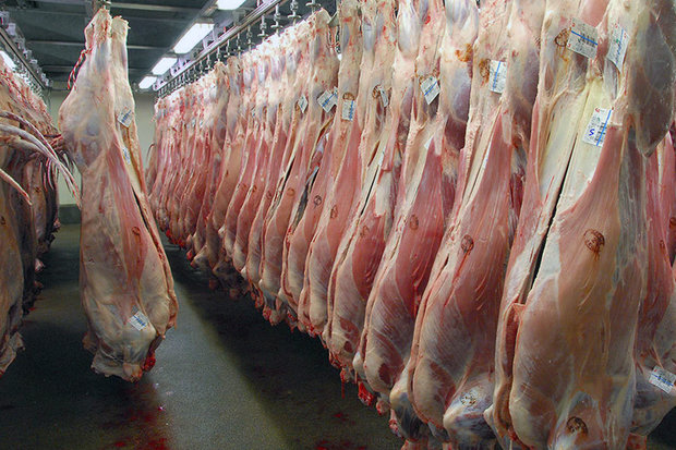 كمبود گوشت گوسفند در بازار پاوه/ يكي از قصابان پاوه: اولين محموله دام زنده، پس از 3 روز به دست ما رسيد