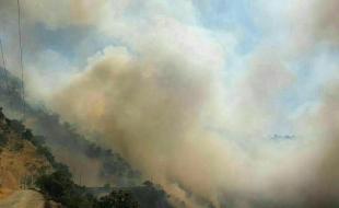 مهار آتشسوزی جوانرود پس از ۳ روز/ 170 هكتار از مراتع در آتش سوخت مهار آتشسوزی جوانرود پس از ۳ روز/ 170 هكتار از مراتع در آتش سوخت