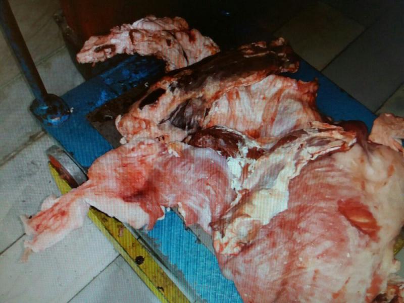 کشف محموله گوشت کشتار غیرمجاز در پاوه
