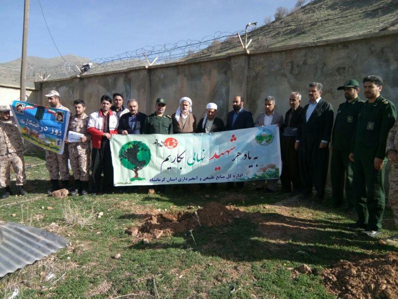 کاشت نهال به مناسبت روز درختکاری در سپاه ناحيه پاوه