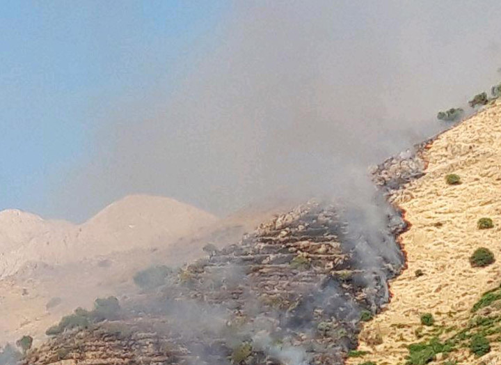 تاکستان های ارتفاعات شهر پاوه طعمه حریق شد