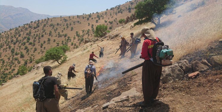 وقوع 7 فقره آتش‌سوزی در منابع طبیعی پاوه‌/ 10 هکتار سوخت