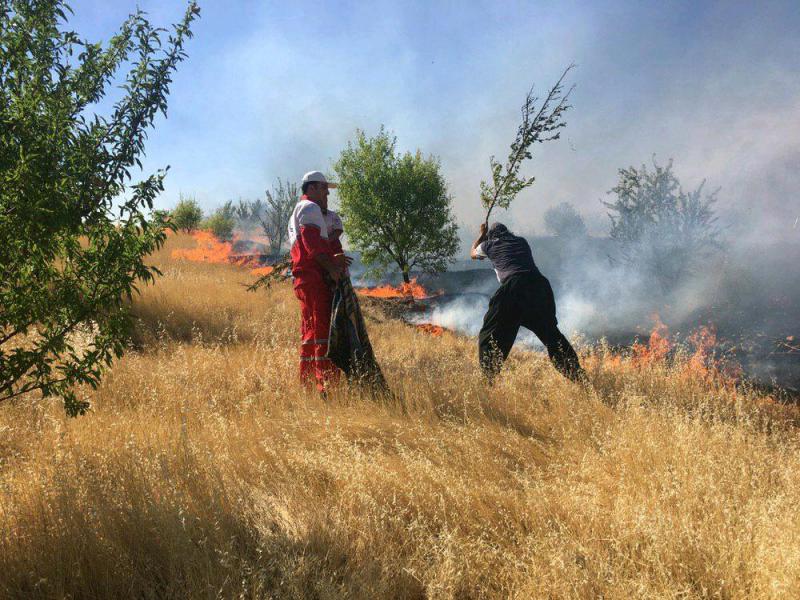 بیش از ۱۰۰ هکتار از مراتع شهرستان روانسر در آتش سوخت