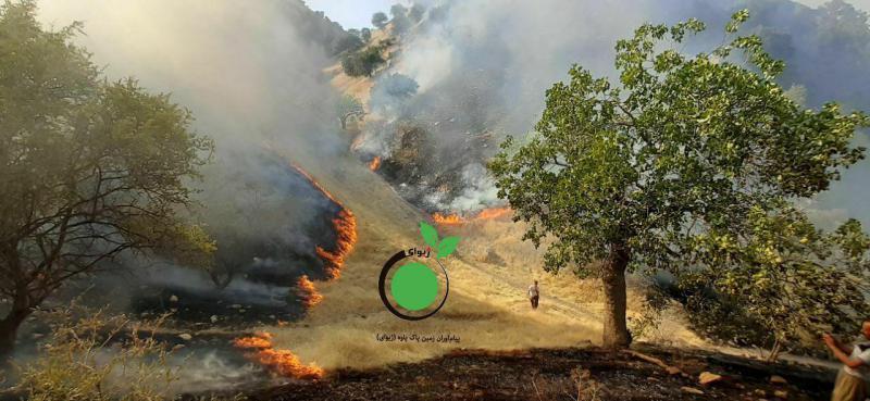 در محاصره مین و آتش/ وقوع آتش سوزی در مراتع روستای شوشمی شهرستان پاوه
