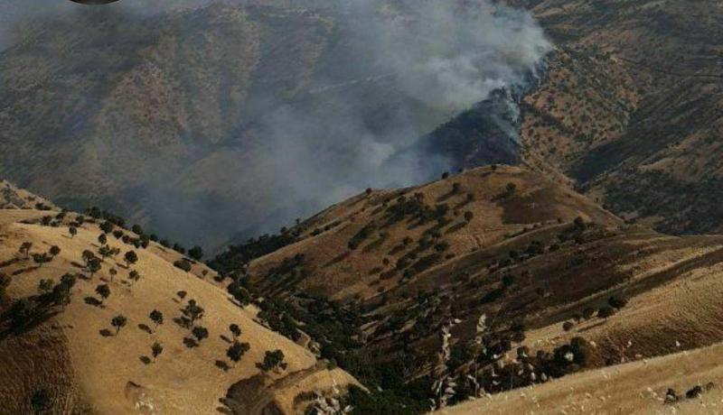 بیش از 15 هکتار از مراتع روستای شوشمی در آتش سوخت