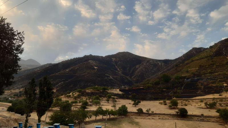 بیش از 50 هکتار از مراتع پاوه در آتش سوخت