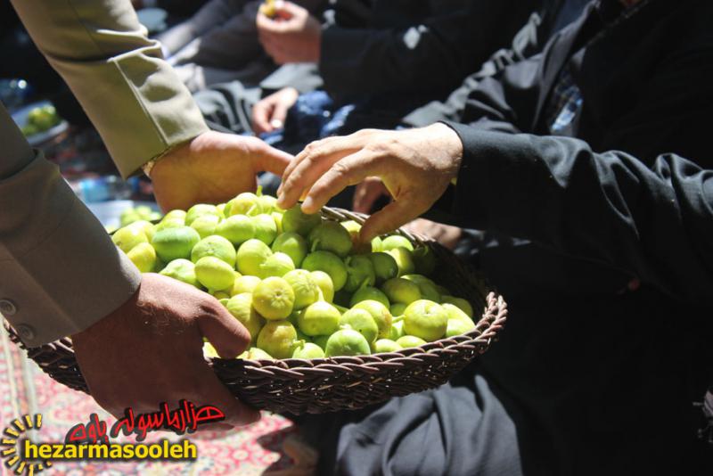 جشنواره شکرانه توت و انجیر در روستای گلال پاوه برگزار شد