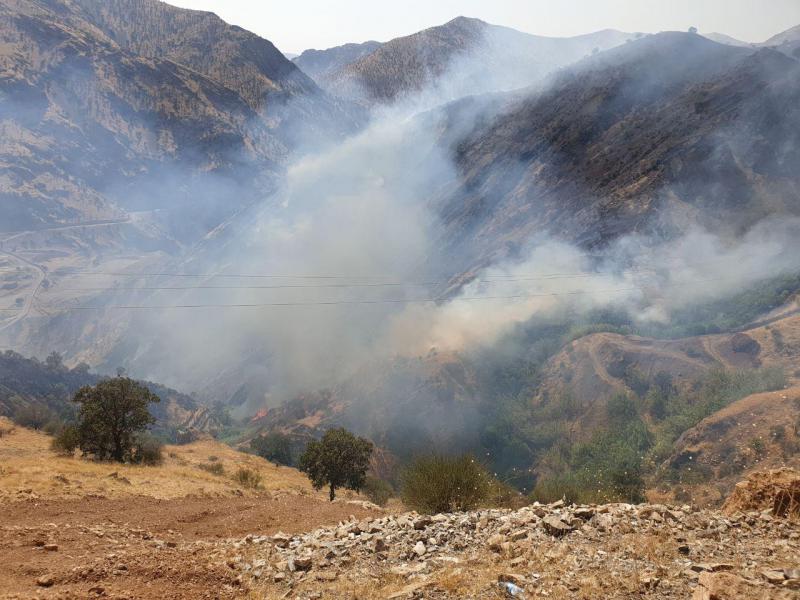 وقوع آتش سوزی در مراتع روستاهای تشار و نیسانه پاوه