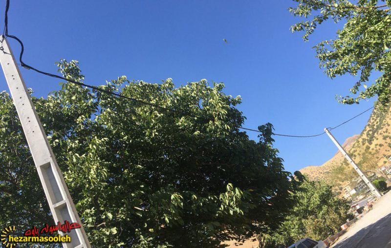 جوابیه ای بر یک گزارش