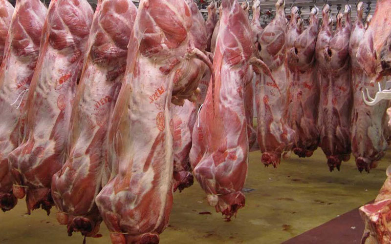 قیمت جدید انواع گوشت قرمز در پاوه اعلام شد
