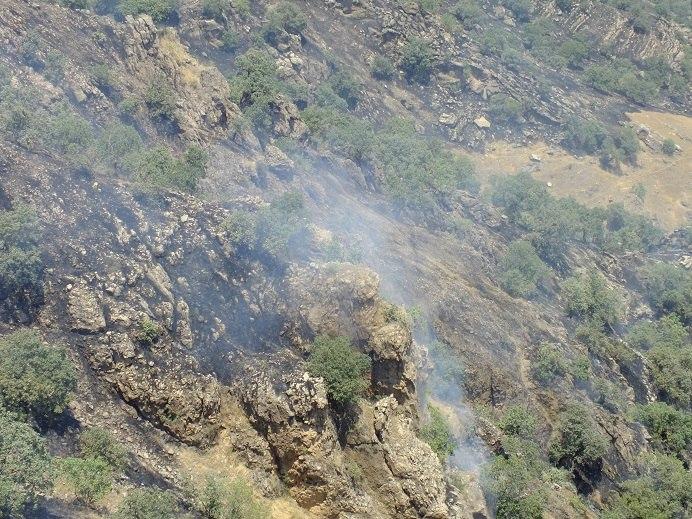 فرماندار پاوه : آتش سوزی در مراتع مشجر لانوان بطور کامل مهار گردید / بیش از 500 هکتار از مراتع دچار حریق شدند