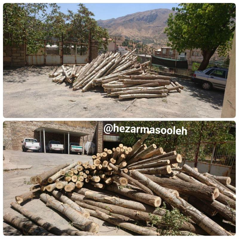 ‍ توقیف یک دستگاه کامیون حامل چوب و الوار در محدوده باغات شهرستان پاوه