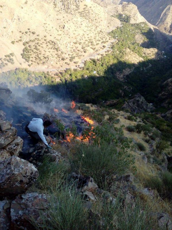 مهار آتش سوزی های مراتع روستای شرکان پاوه مهار آتش سوزی های مراتع روستای شرکان پاوه