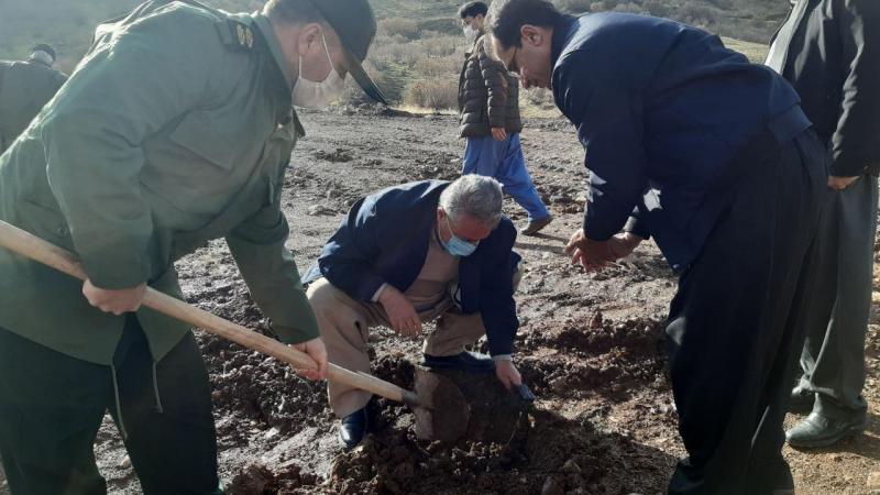 گزارش تصویری از کاشت ۱۰۰ اصله نهال درخت در پاوه گزارش تصویری از کاشت ۱۰۰ اصله نهال درخت در پاوه