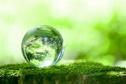 روز جهانی زمین پاک با شعار احیای زمین، افزایش بهره وری برای توسعه پایدار