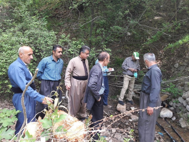بازدید مدیر اب منطقه ایی استان از وضعیت روستای هانه گرمله پاوه بازدید مدیر اب منطقه ایی استان از وضعیت روستای هانه گرمله پاوه