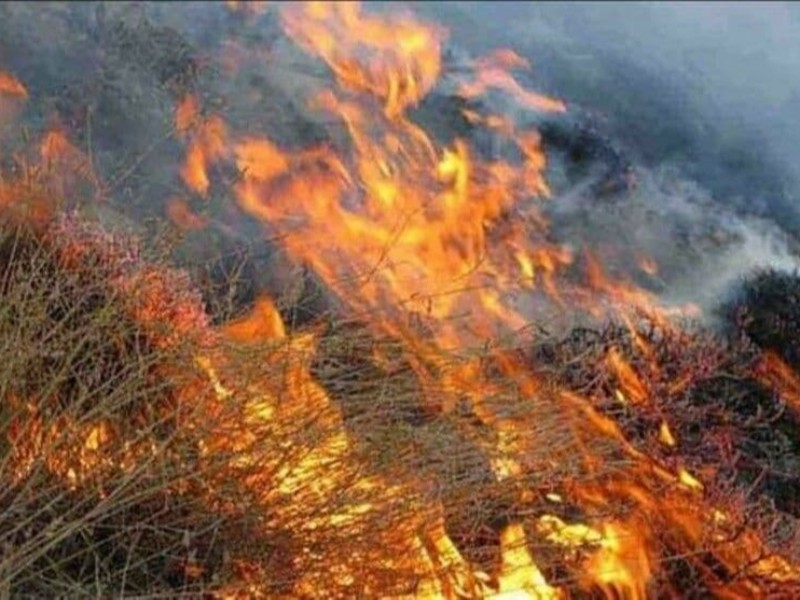 وقوع اتش سوزی در محل پشت باغات زبار نودشه