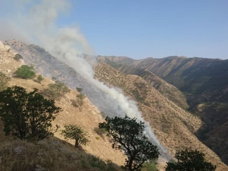 آتش سوزی در منطقه حفاظت شده مرخیل مهار شد